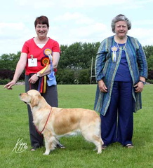 Cherry - Midland Pup of the Year winner with judge